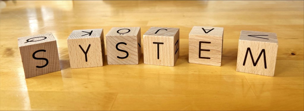 Einführung: Systemisches Organisationsentwicklung