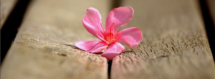 Reflexion durch Irritationen im&nbsp;Alltag